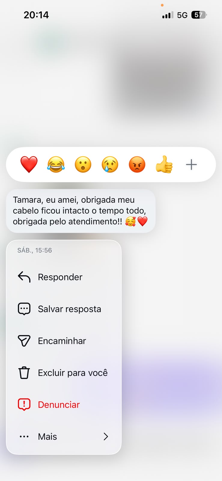 Print de conversa: cliente elogiando o atendimento e o cabelo intacto